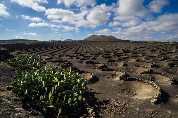 Viaggio Fotografico Canarie Marco Carulli